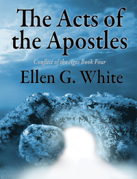 Cover image: The Acts of the Apostles 9781515400189