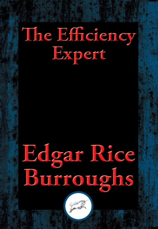 Imagen de portada: The Efficiency Expert 9781515408338