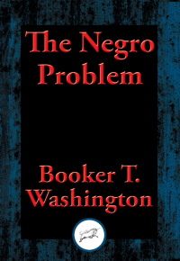 Omslagafbeelding: The Negro Problem 9781591021063