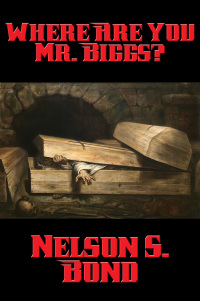 Imagen de portada: Where Are You Mr. Biggs? 9781515411239