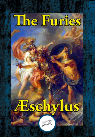 Cover image: The Furies 9781515416081