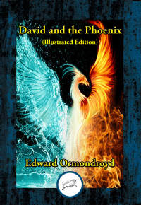 Cover image: David and the Phoenix