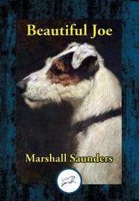 Cover image: Beautiful Joe
