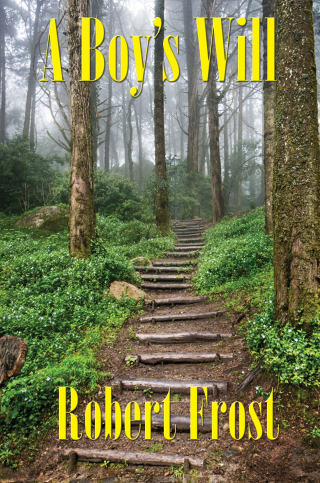 Cover image: A Boy’s Will 9781515419419