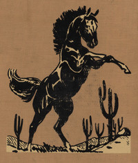 Titelbild: The Illustrated Wishing Horse of Oz 9781515418955