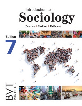 Cover image: Introduction to Sociology 7th edition 9781517802875