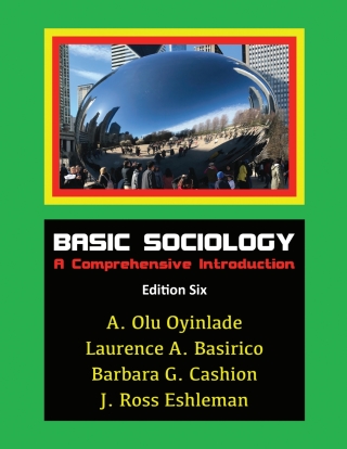 Cover image: Basic Sociology: A Comprehensive Introduction 6th edition 9781517809805