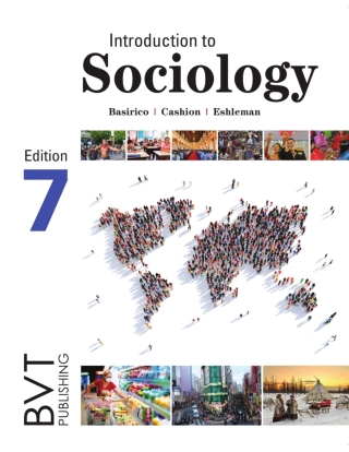 Cover image: Introduction to Sociology 7th edition 9781517802875