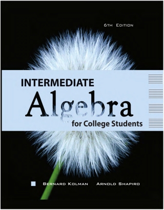 Cover image: Intermediate Algebra for College Students 6th edition 9781932741551