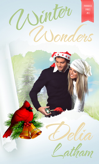 Cover image: Winter Wonders 1st edition