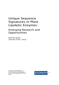 Cover image: Unique Sequence Signatures in Plant Lipolytic Enzymes 9781522574828