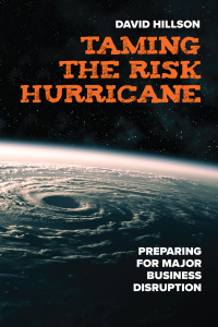 表紙画像: Taming the Risk Hurricane 1st edition 9781523000494