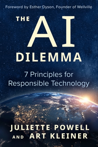 Cover image: The AI Dilemma 1st edition 9781523004195