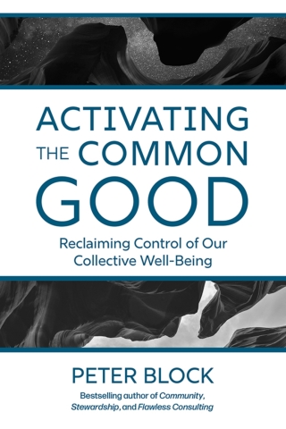 Cover image: Activating the Common Good 1st edition 9781523005963