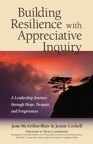Cover image: Building Resilience with Appreciative Inquiry 1st edition 9781523082551