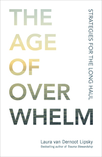 Cover image: The Age of Overwhelm 1st edition 9781523094738