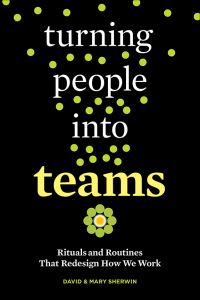 Cover image: Turning People into Teams 1st edition 9781523095742