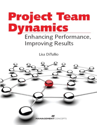 Cover image: Project Team Dynamics 1st edition 9781567262902