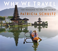 Cover image: Why We Travel 9781523510979