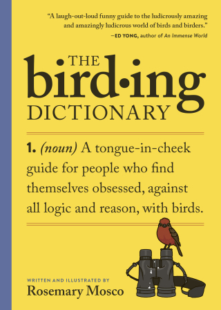 Cover image: The Birding Dictionary 9781523525355