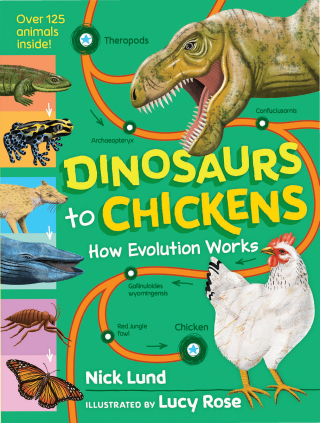 Cover image: Dinosaurs to Chickens 9781523513208