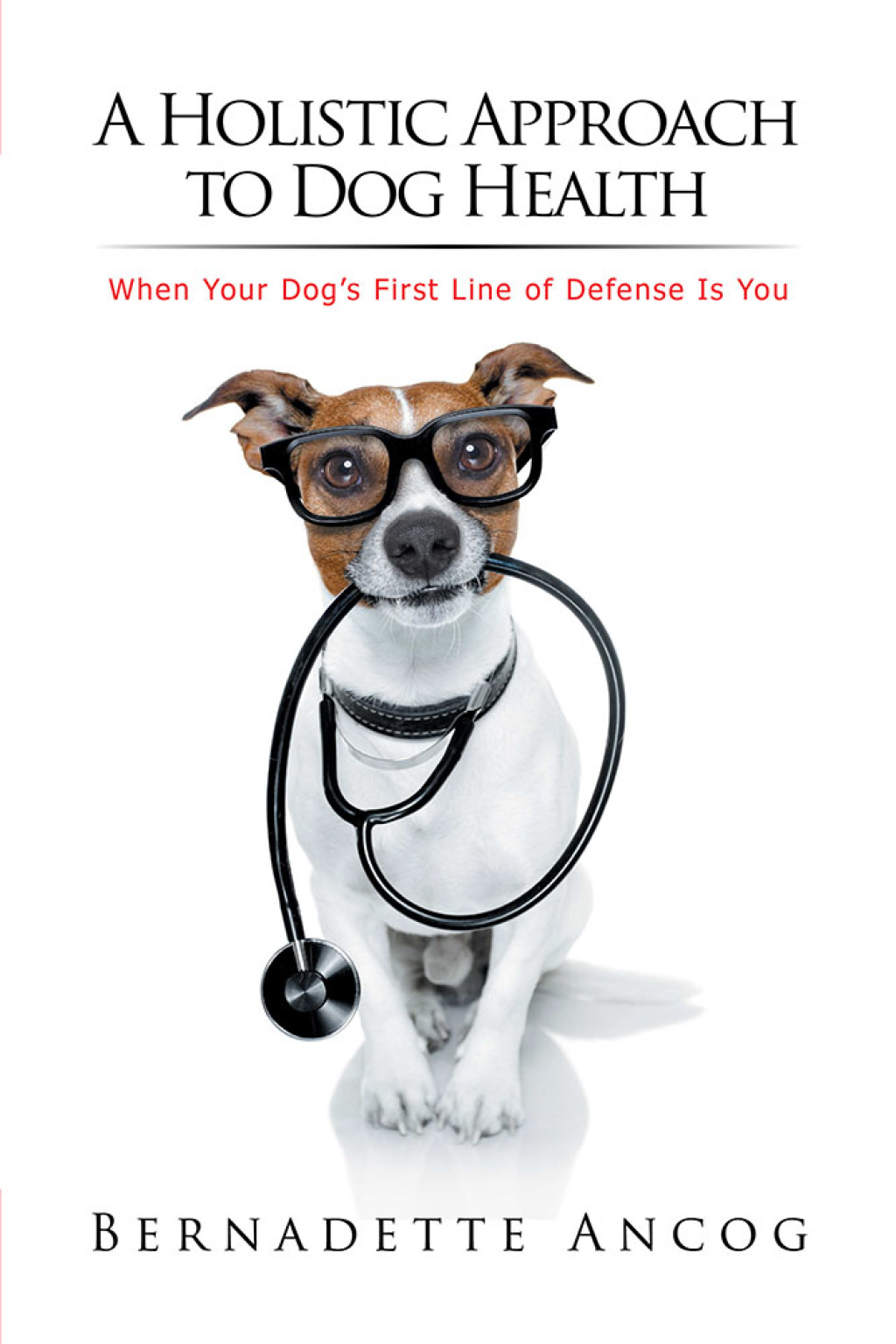 A Holistic Approach to Dog Health When Your Dog’s First Line of Defense Is You