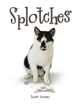 Imagen de portada: Splotches 9781524673192