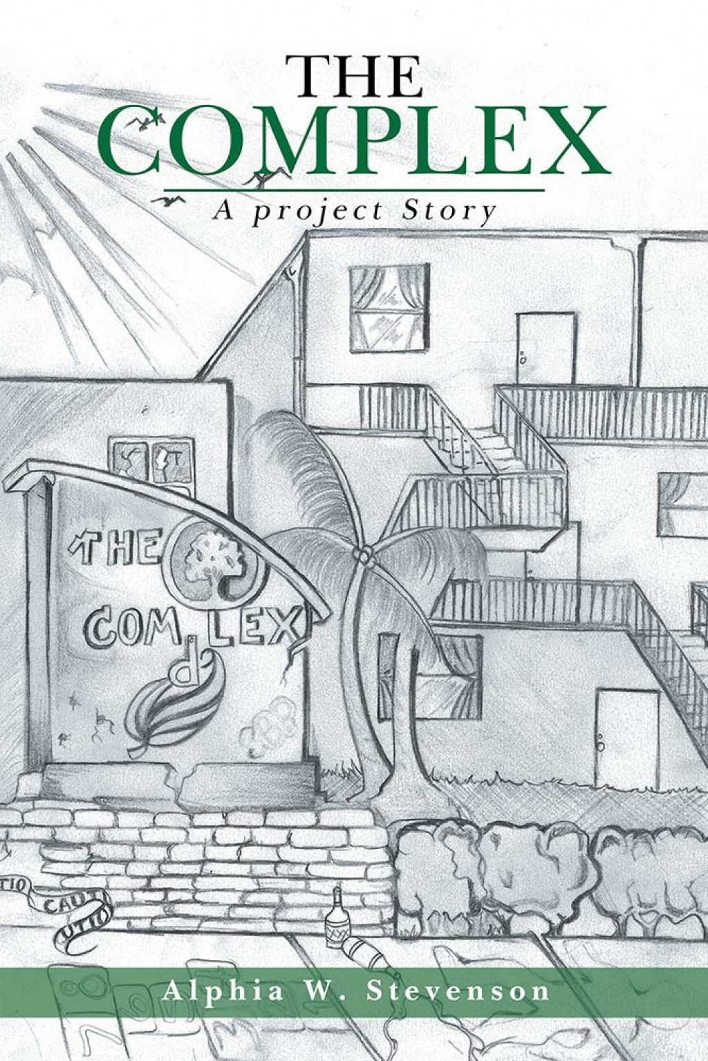 The Complex (eBook)