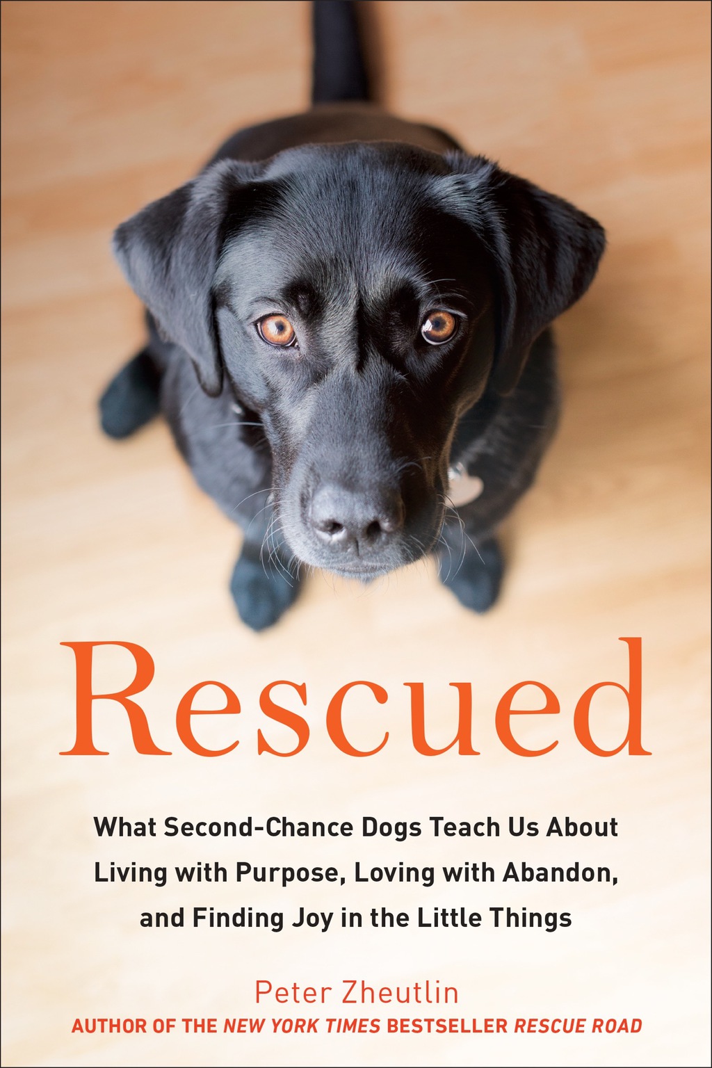 Rescued What Second-Chance Dogs Teach Us About Living with Purpose, Loving with Abandon,and Finding Joy in the Little Things