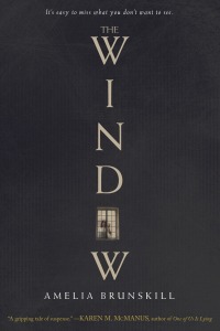 Cover image: The Window 9781524720292