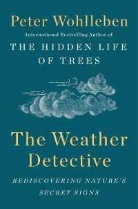 Cover image: The Weather Detective 9781524743741