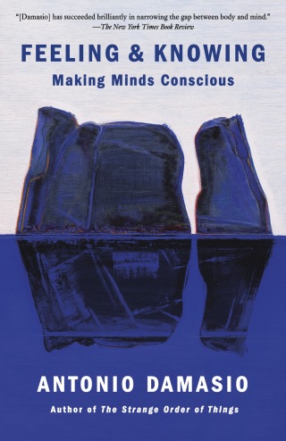 Cover image: Feeling & Knowing 9781524747558