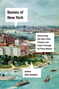 Cover image: Names of New York 9781524748920