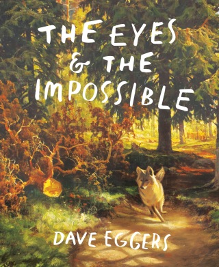 Cover image: The Eyes and the Impossible 9781524764203