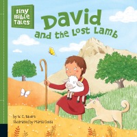 Cover image: David and the Lost Lamb 9781524785901
