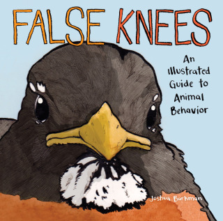 Imagen de portada: False Knees 9781449499723