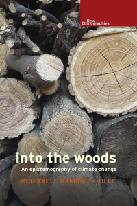 Cover image: Into the woods 1st edition 9781526140982