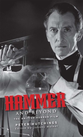 表紙画像: Hammer and beyond 9781526151186