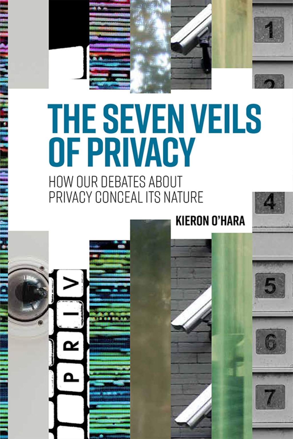 The seven veils of privacy eBook