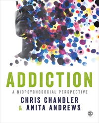 Cover image: Addiction 1st edition 9781849208000