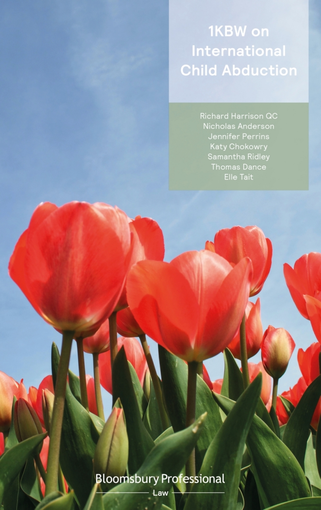1KBW on International Child Abduction 1st Edition