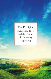 Cover image: The Precipice 1st edition 9781526600219