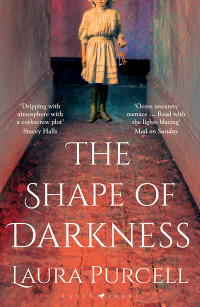 Cover image: The Shape of Darkness 1st edition 9781526602541