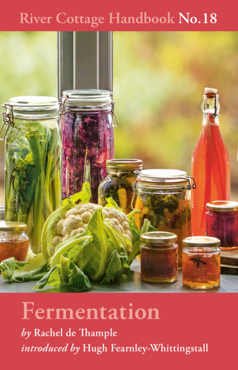 Fermentation: River Cottage Handbook No.18, 1st Edition - FULL INSTANT DOWNLOAD | PDF DOCX EPUB