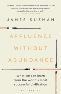 Cover image: Affluence Without Abundance 1st edition 9781526609311
