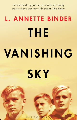 Omslagafbeelding: The Vanishing Sky 1st edition 9781526616746