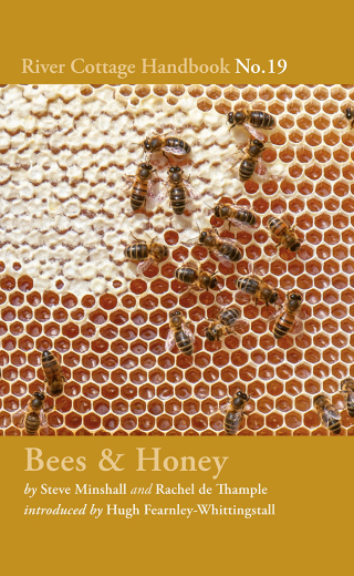 Cover image: Bees & Honey 1st edition 9781408873557