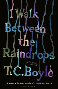 Cover image: I Walk Between the Raindrops 1st edition 9781526631374