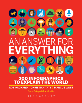 Cover image: An Answer for Everything 1st edition 9781526633644