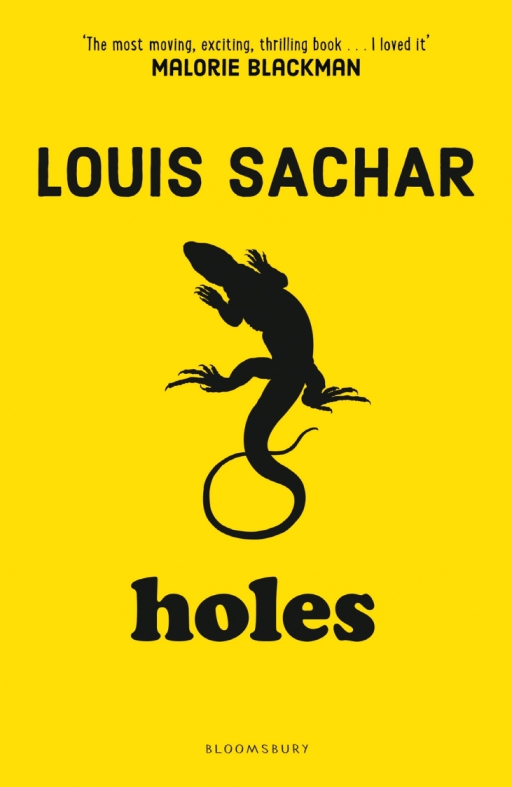 Holes - 1st Edition (eBook)